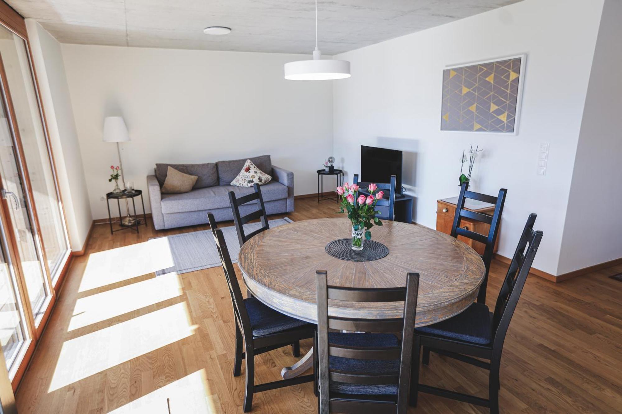 Terrassenwohnung 6